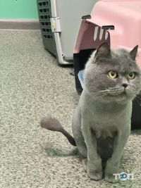 відгуки про Vet Friend фото