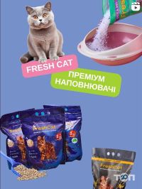 Беллі Zoo відгуки фото