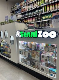 БелліZoo відгуки фото
