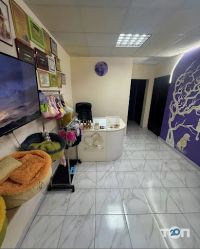 Зоомагазини і послуги для тварин CoolPet фото