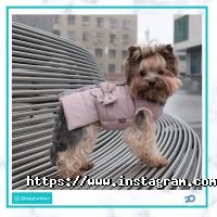 Пральні, хімчистки Green Way фото