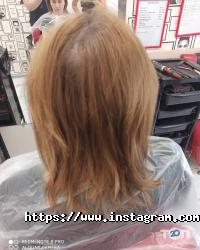 Пудра Одеса фото