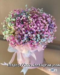 Floristella відгуки фото