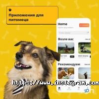 Зоомагазини і послуги для тварин Зграя фото