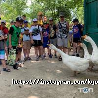 Samson Харків фото