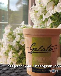 відгуки про Gelato фото