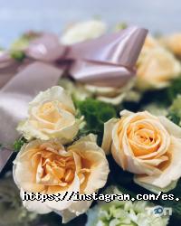 відгуки про Everyday spring фото