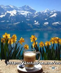 Сovim-Caffe, кав'ярня фото