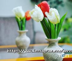 Готелі, хостели Mercury фото