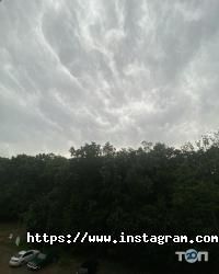 Адвокат Бородійчук Дмитро Олегович відгуки фото