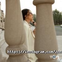 Зоомагазины и услуги для животных Zooshop фото