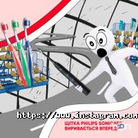 отзывы о Эльдорадо фото