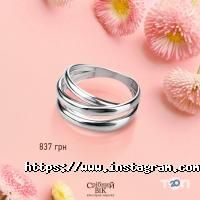 відгуки про Срібний вік фото