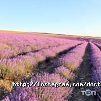 Медичний центр Володимира Козлова Кривий Ріг фото