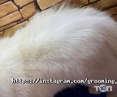 Зоомагазины и услуги для животных Мисси фото