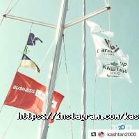 Каштан 2000 відгуки фото