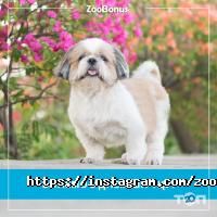 отзывы о ZooBonus фото