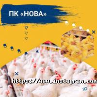 отзывы о Новаагро фото