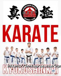 Samson відгуки фото