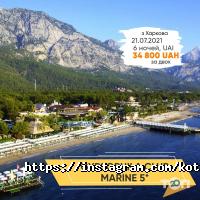 Кот в Полет отзывы фото