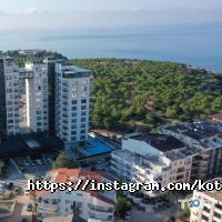 Туристические агентства, экскурсии Кот в Полет фото