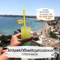 отзывы о Кот в Полет фото