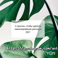 AntiSalon Київ фото