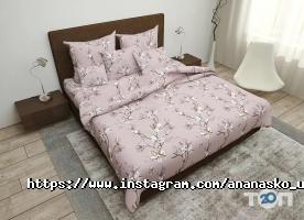 Ananasko Хмельницкий фото