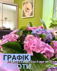 РаноК отзывы фото