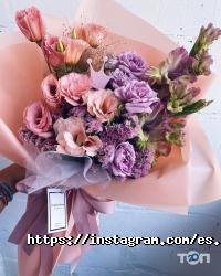 Everyday spring відгуки фото