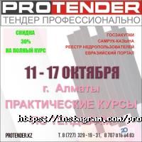 ProTender Алматы фото