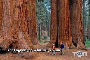 Клімат Ленд , магазин опалювальних приладів фото