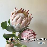 Магазини квітів The Difference фото