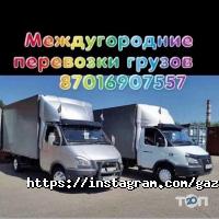 Тулпар отзывы фото