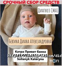 DiDi Insider, салон фото