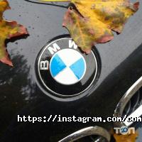 відгуки про Complimente фото