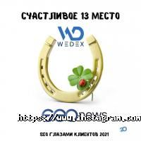 Wedex Херсон фото