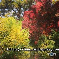 відгуки про Фабрика Бізнесу фото