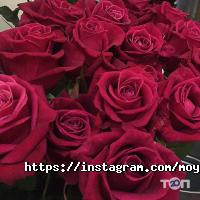 Moymay відгуки фото