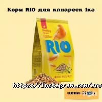 Хатико, зоомагазин фото