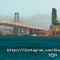 Dimetogo відгуки фото