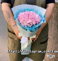 Family Flowers, флорістічеська студія фото