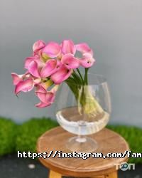 Family Flowers відгуки фото