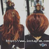 Білий лотос Київ фото