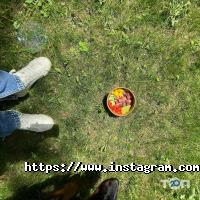 Watatsumi Київ фото