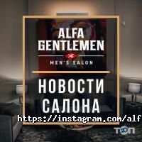 Alfa Gentlemen отзывы фото