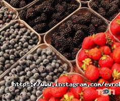 відгуки про Карусель фото