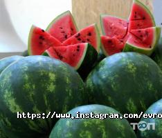 Карусель відгуки фото