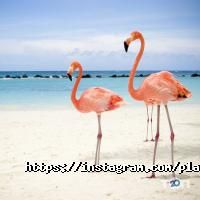 Планета знань Харків фото