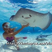 Планета знань, туристичне агентство фото